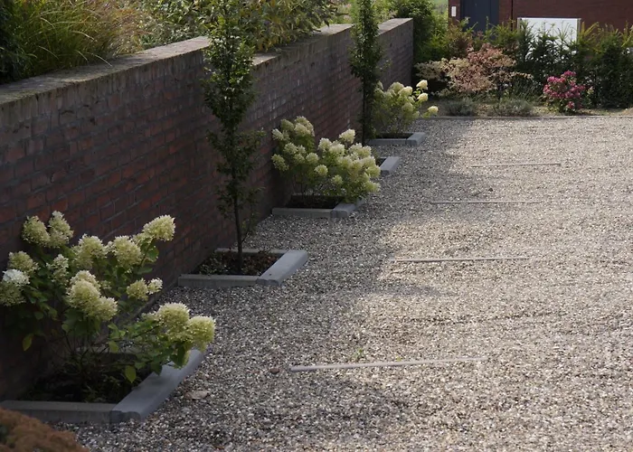 住宿加早餐酒店 迪尼住宿加早餐旅馆 3*