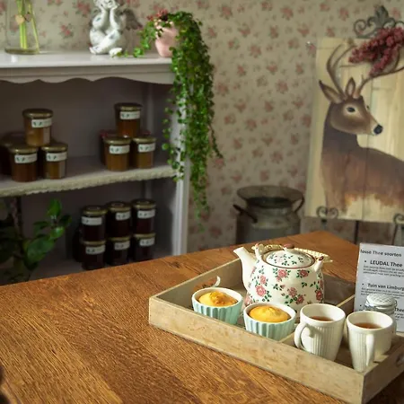 Bed & Breakfast 't Inj Horn